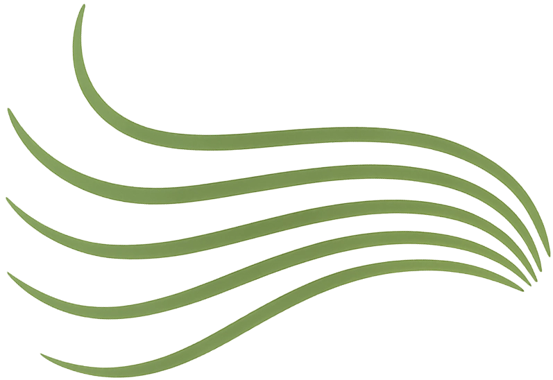 Green wavy line design on a white background arinnagifts logo